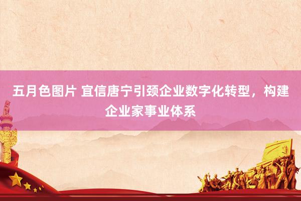 五月色图片 宜信唐宁引颈企业数字化转型，构建企业家事业体系