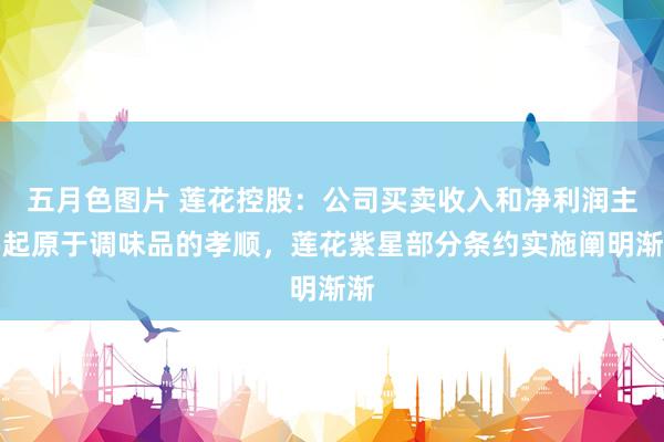 五月色图片 莲花控股：公司买卖收入和净利润主要起原于调味品的孝顺，莲花紫星部分条约实施阐明渐渐
