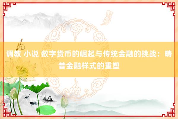 调教 小说 数字货币的崛起与传统金融的挑战：畴昔金融样式的重塑