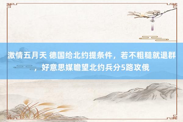 激情五月天 德国给北约提条件，若不粗糙就退群，好意思媒瞻望北约兵分5路攻俄