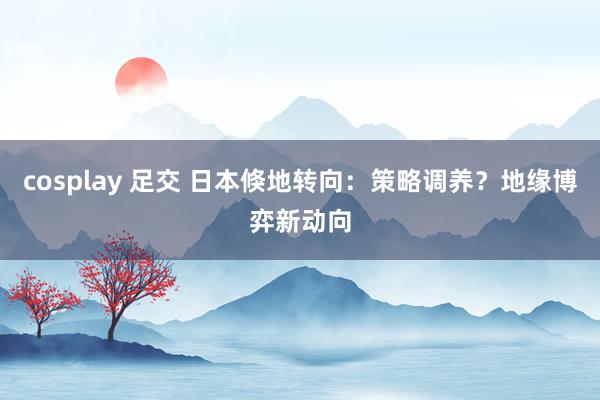 cosplay 足交 日本倏地转向：策略调养？地缘博弈新动向