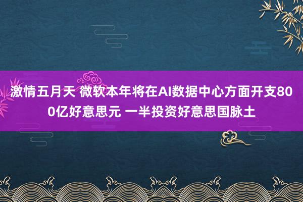 激情五月天 微软本年将在AI数据中心方面开支800亿好意思元 一半投资好意思国脉土