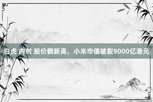 白虎 内射 股价翻新高，小米市值破裂9000亿港元