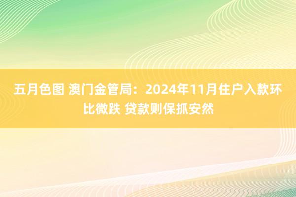 五月色图 澳门金管局：2024年11月住户入款环比微跌 贷款则保抓安然