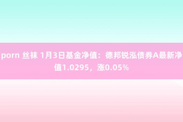 porn 丝袜 1月3日基金净值：德邦锐泓债券A最新净值1.0295，涨0.05%