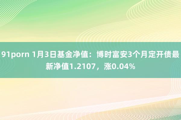 91porn 1月3日基金净值：博时富安3个月定开债最新净值1.2107，涨0.04%