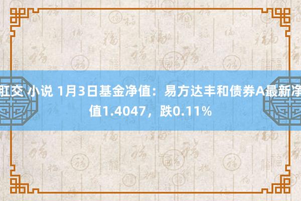 肛交 小说 1月3日基金净值：易方达丰和债券A最新净值1.4047，跌0.11%