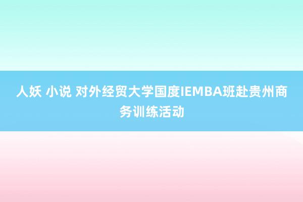 人妖 小说 对外经贸大学国度IEMBA班赴贵州商务训练活动