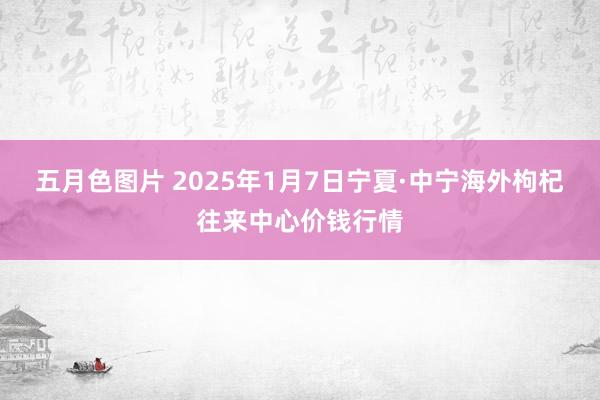 五月色图片 2025年1月7日宁夏·中宁海外枸杞往来中心价钱行情