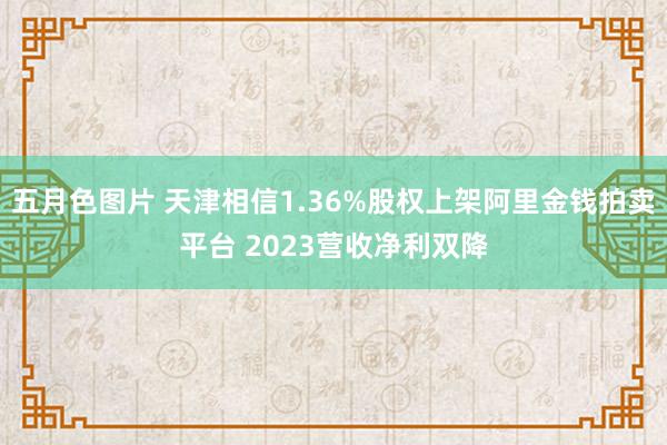 五月色图片 天津相信1.36%股权上架阿里金钱拍卖平台 2023营收净利双降