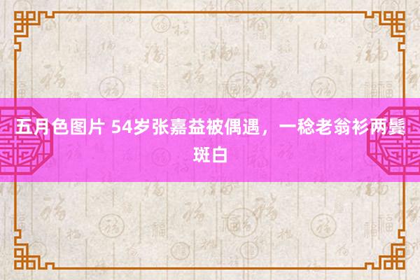 五月色图片 54岁张嘉益被偶遇，一稔老翁衫两鬓斑白