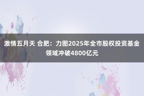 激情五月天 合肥：力图2025年全市股权投资基金领域冲破4800亿元