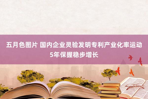 五月色图片 国内企业灵验发明专利产业化率运动5年保握稳步增长