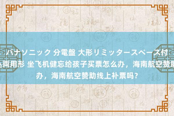 パナソニック 分電盤 大形リミッタースペース付 露出・半埋込両用形 坐飞机健忘给孩子买票怎么办，海南