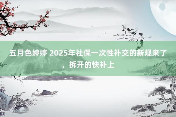 五月色婷婷 2025年社保一次性补交的新规来了，拆开的快补上