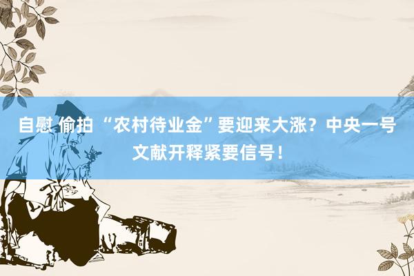 自慰 偷拍 “农村待业金”要迎来大涨？中央一号文献开释紧要信号！