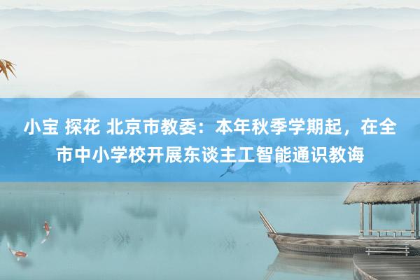 小宝 探花 北京市教委：本年秋季学期起，在全市中小学校开展东谈主工智能通识教诲