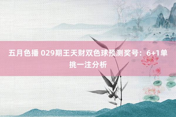 五月色播 029期王天财双色球预测奖号：6+1单挑一注分析
