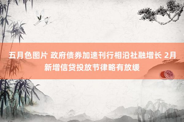 五月色图片 政府债券加速刊行相沿社融增长 2月新增信贷投放节律略有放缓