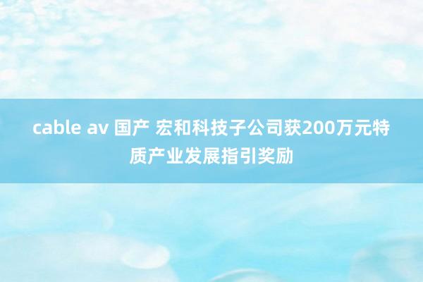 cable av 国产 宏和科技子公司获200万元特质产业发展指引奖励