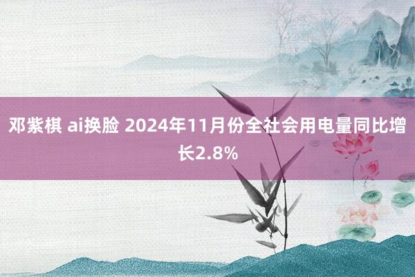 邓紫棋 ai换脸 2024年11月份全社会用电量同比增长2.8%