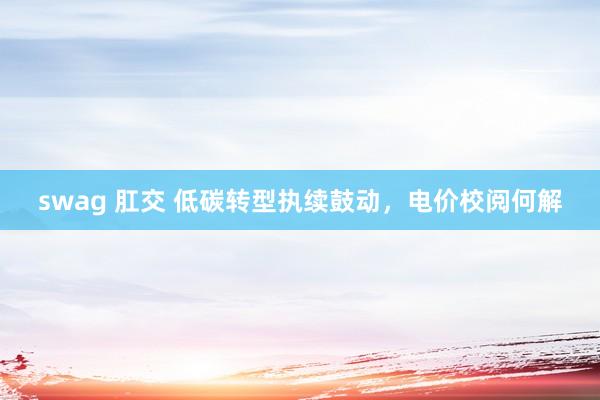 swag 肛交 低碳转型执续鼓动，电价校阅何解