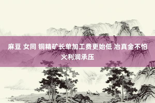 麻豆 女同 铜精矿长单加工费更始低 冶真金不怕火利润承压