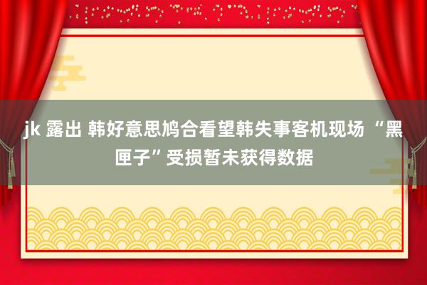 jk 露出 韩好意思鸠合看望韩失事客机现场 “黑匣子”受损暂未获得数据