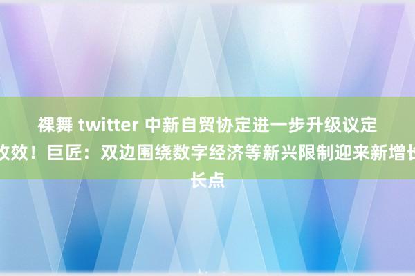裸舞 twitter 中新自贸协定进一步升级议定书收效！巨匠：双边围绕数字经济等新兴限制迎来新增长点