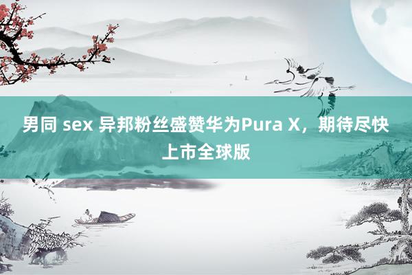 男同 sex 异邦粉丝盛赞华为Pura X，期待尽快上市全球版