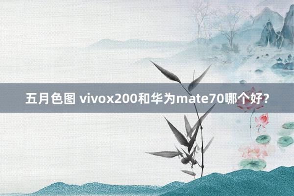 五月色图 vivox200和华为mate70哪个好？