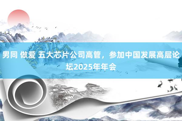 男同 做爱 五大芯片公司高管，参加中国发展高层论坛2025年年会