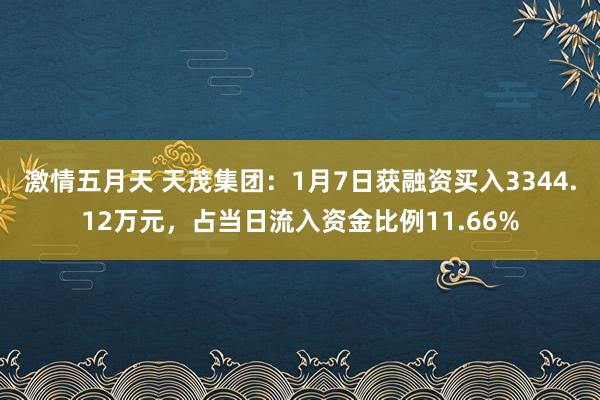 激情五月天 天茂集团：1月7日获融资买入3344.12万元，占当日流入资金比例11.66%