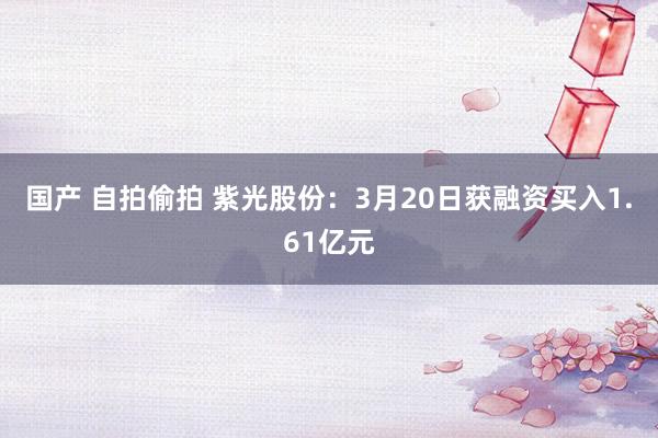 国产 自拍偷拍 紫光股份：3月20日获融资买入1.61亿元