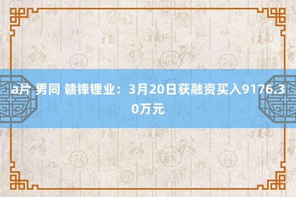 a片 男同 赣锋锂业：3月20日获融资买入9176.30万元