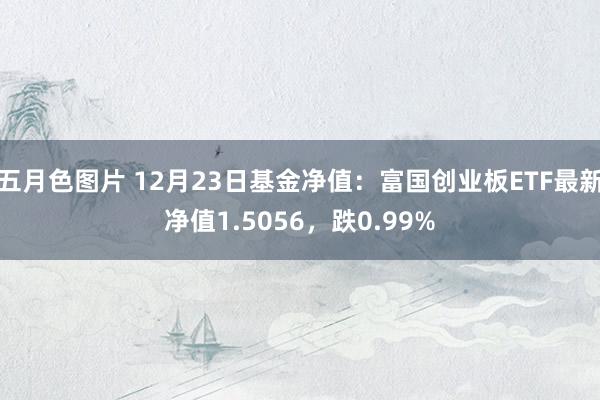 五月色图片 12月23日基金净值：富国创业板ETF最新净值1.5056，跌0.99%