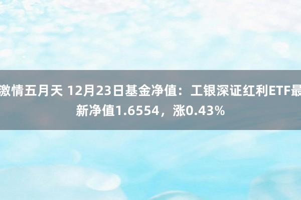 激情五月天 12月23日基金净值：工银深证红利ETF最新净值1.6554，涨0.43%