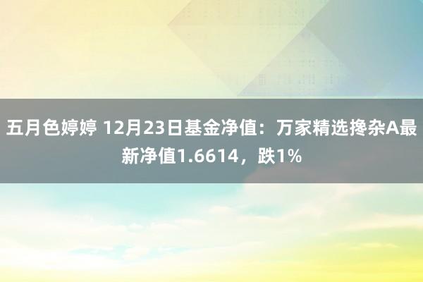 五月色婷婷 12月23日基金净值:万家精选搀杂A最新净值1.6614,跌1%