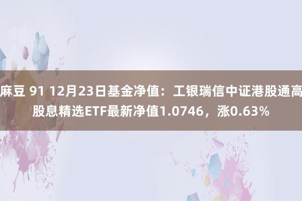 麻豆 91 12月23日基金净值：工银瑞信中证港股通高股息精选ETF最新净值1.0746，涨0.63