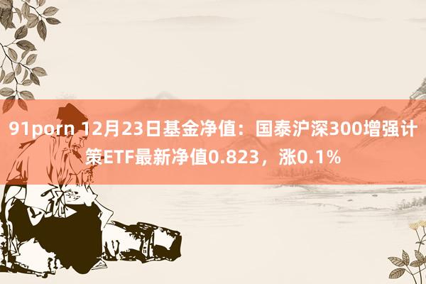 91porn 12月23日基金净值：国泰沪深300增强计策ETF最新净值0.823，涨0.1%