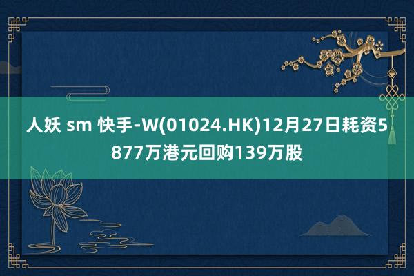 人妖 sm 快手-W(01024.HK)12月27日耗资5877万港元回购139万股
