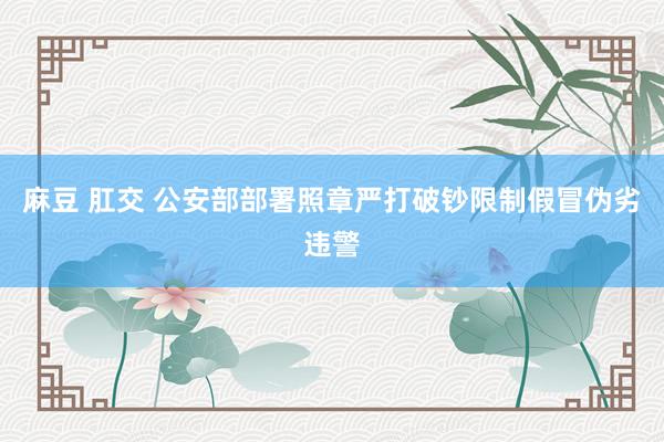 麻豆 肛交 公安部部署照章严打破钞限制假冒伪劣违警