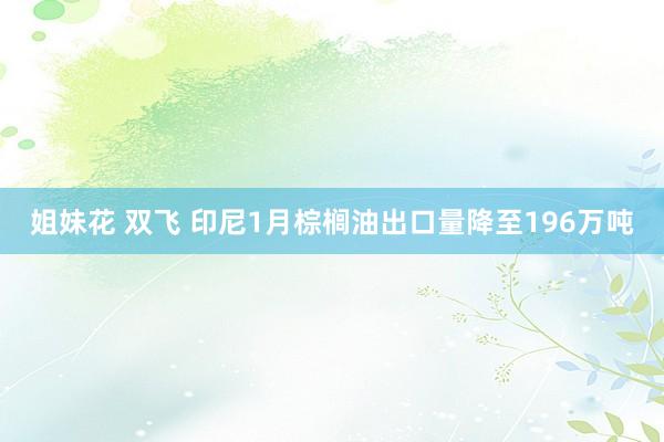 姐妹花 双飞 印尼1月棕榈油出口量降至196万吨