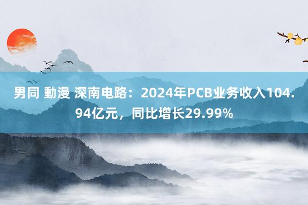 男同 動漫 深南电路：2024年PCB业务收入104.94亿元，同比增长29.99%