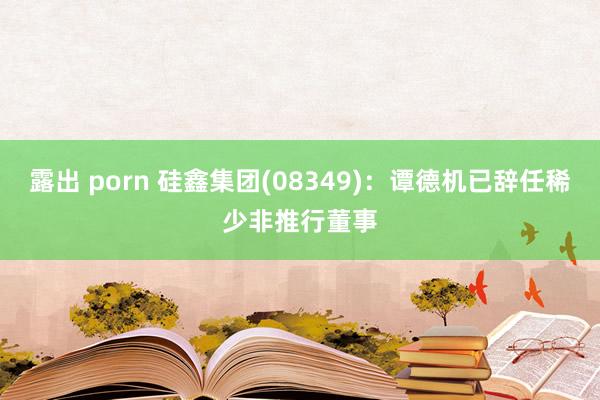 露出 porn 硅鑫集团(08349)：谭德机已辞任稀少非推行董事