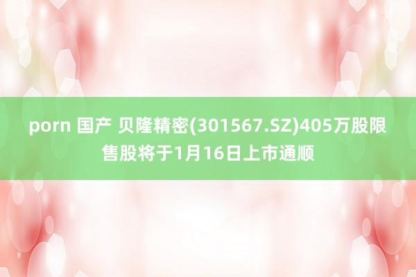 porn 国产 贝隆精密(301567.SZ)405万股限售股将于1月16日上市通顺