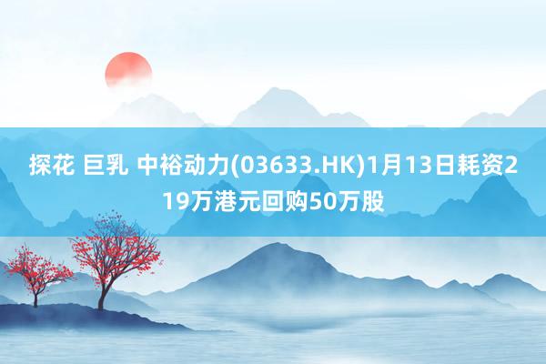 探花 巨乳 中裕动力(03633.HK)1月13日耗资219万港元回购50万股