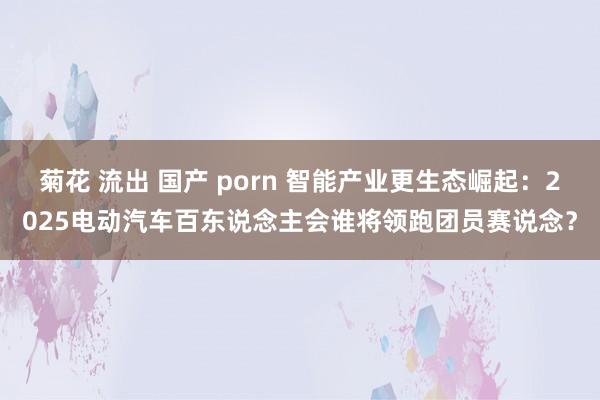 菊花 流出 国产 porn 智能产业更生态崛起：2025电动汽车百东说念主会谁将领跑团员赛说念？