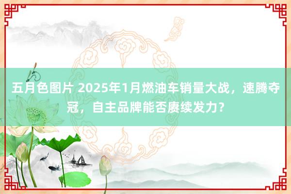 五月色图片 2025年1月燃油车销量大战，速腾夺冠，自主品牌能否赓续发力？