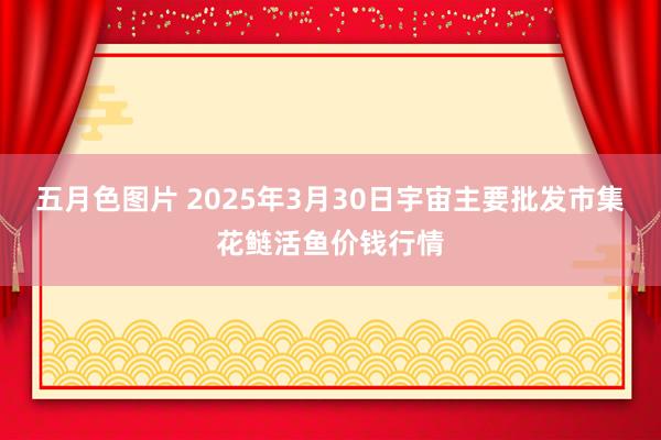五月色图片 2025年3月30日宇宙主要批发市集花鲢活鱼价钱行情
